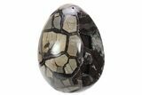 Septarian Dragon Egg Geode - Black Crystals #241555-1
